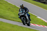 Oulton-Park-21st-March-2020;PJ-Motorsport-Photography-2020;anglesey;brands-hatch;cadwell-park;croft;donington-park;enduro-digital-images;event-digital-images;eventdigitalimages;mallory;no-limits;oulton-park;peter-wileman-photography;racing-digital-images;silverstone;snetterton;trackday-digital-images;trackday-photos;vmcc-banbury-run;welsh-2-day-enduro